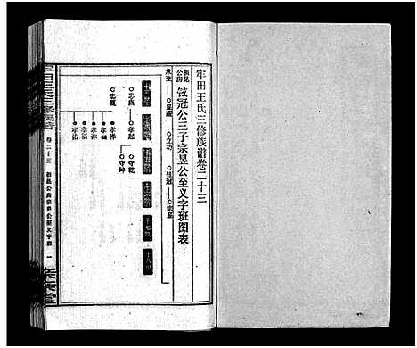 [王]牢田王氏三修族谱_39卷首末各1卷 (湖南) 牢田王氏三修家谱_十四.pdf