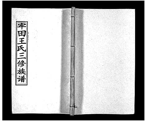 [王]牢田王氏三修族谱_39卷首末各1卷 (湖南) 牢田王氏三修家谱_十六.pdf