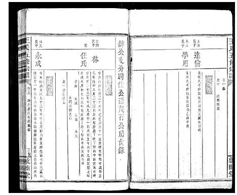 [王]王氏五修宗谱 (湖南) 王氏五修家谱_三.pdf