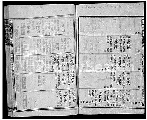 [王]王氏五修通谱_不分卷首4卷 (湖南) 王氏五修通谱_二.pdf