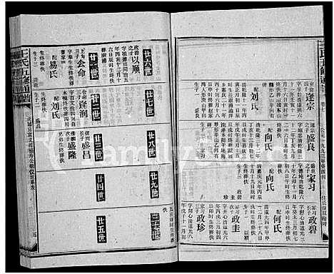 [王]王氏五修通谱_不分卷首4卷 (湖南) 王氏五修通谱_二.pdf