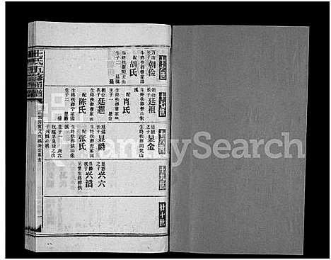 [王]王氏五修通谱_不分卷首4卷 (湖南) 王氏五修通谱_七.pdf