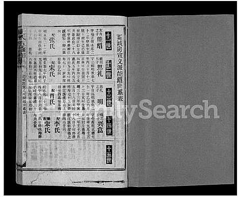 [王]王氏五修通谱_不分卷首4卷 (湖南) 王氏五修通谱_十四.pdf