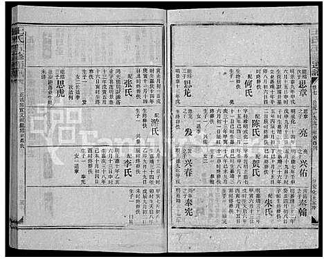 [王]王氏五修通谱_不分卷首4卷 (湖南) 王氏五修通谱_十四.pdf