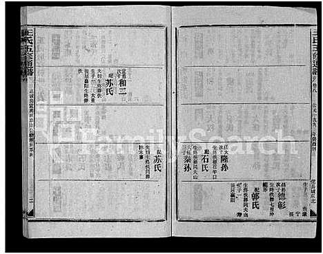 [王]王氏五修通谱_不分卷首4卷 (湖南) 王氏五修通谱_十六.pdf