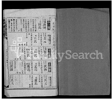 [王]王氏五修通谱_不分卷首4卷 (湖南) 王氏五修通谱_十九.pdf