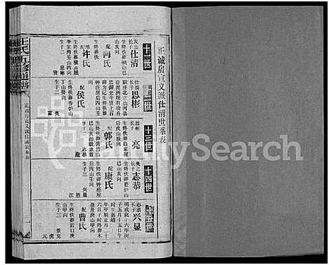 [王]王氏五修通谱_不分卷首4卷 (湖南) 王氏五修通谱_二十.pdf