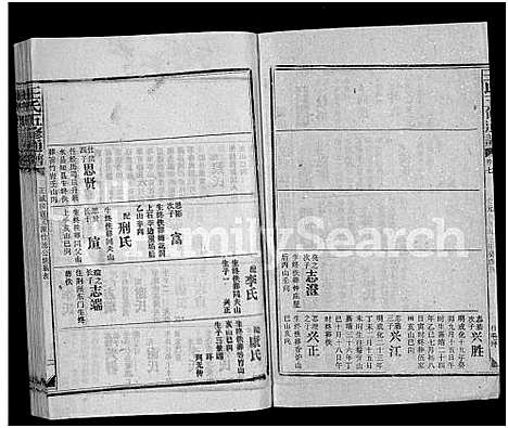 [王]王氏五修通谱_不分卷首4卷 (湖南) 王氏五修通谱_二十.pdf