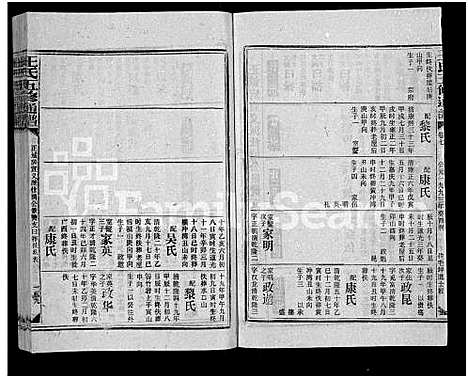 [王]王氏五修通谱_不分卷首4卷 (湖南) 王氏五修通谱_二十三.pdf