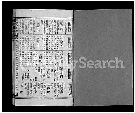 [王]王氏五修通谱_不分卷首4卷 (湖南) 王氏五修通谱_二十九.pdf