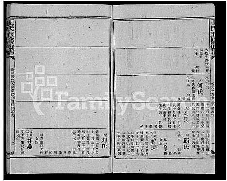 [王]王氏五修通谱_不分卷首4卷 (湖南) 王氏五修通谱_三十二.pdf