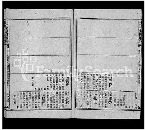 [王]王氏五修通谱_不分卷首4卷 (湖南) 王氏五修通谱_三十四.pdf