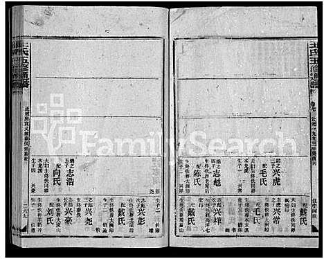 [王]王氏五修通谱_不分卷首4卷 (湖南) 王氏五修通谱_四十四.pdf