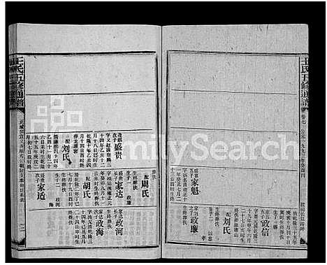 [王]王氏五修通谱_不分卷首4卷 (湖南) 王氏五修通谱_四十九.pdf