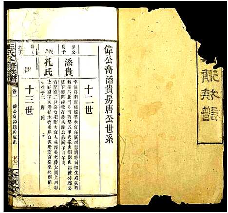 [王]王氏八修族谱 (湖南) 王氏八修家谱_一.pdf