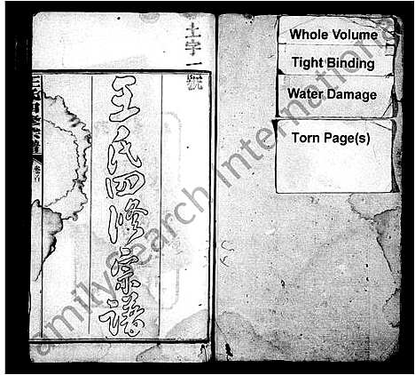 [王]王氏四修宗谱_21卷_含卷首-王氏宗谱 (湖南) 王氏四修家谱_一.pdf