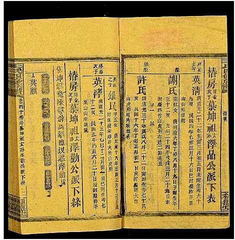 [王]王氏四修族谱_53卷首3卷-邵陵王氏四修谱 (湖南) 王氏四修家谱_四十九.pdf