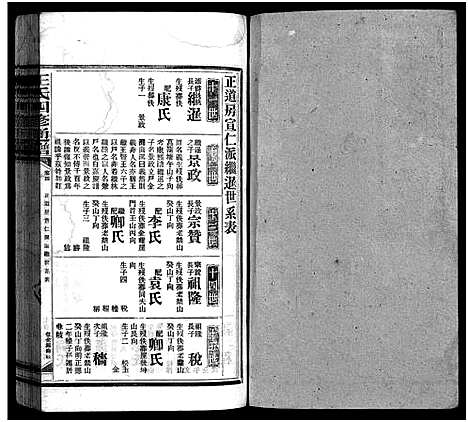 [王]王氏四修通谱_13卷首12卷-Wang Shi Si Xiu Tong Pu (湖南) 王氏四修通谱_二十.pdf