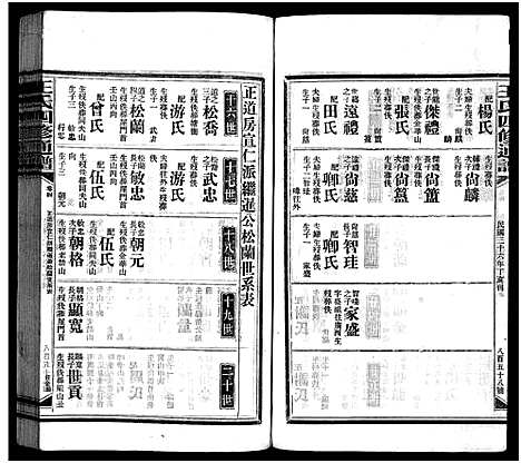 [王]王氏四修通谱_13卷首12卷-Wang Shi Si Xiu Tong Pu (湖南) 王氏四修通谱_二十一.pdf