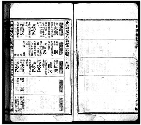 [王]王氏四修通谱_13卷首9卷 (湖南) 王氏四修通谱_十三.pdf