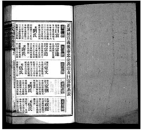 [王]王氏四修通谱_13卷首9卷 (湖南) 王氏四修通谱_二十二.pdf