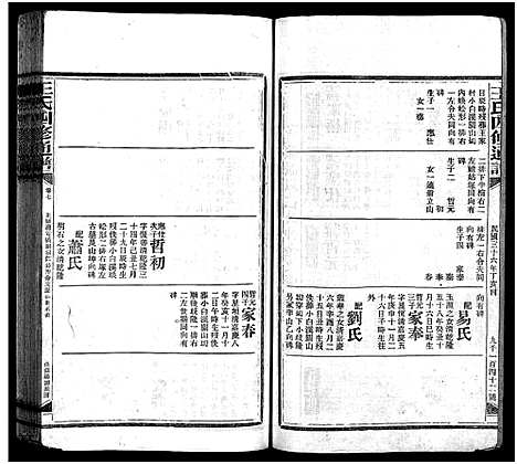 [王]王氏四修通谱_13卷首9卷 (湖南) 王氏四修通谱_A085.pdf