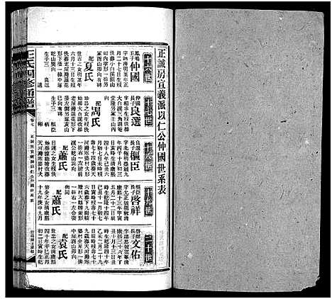 [王]王氏四修通谱_13卷首9卷 (湖南) 王氏四修通谱_A086.pdf