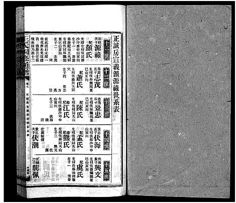 [王]王氏四修通谱_13卷首9卷 (湖南) 王氏四修通谱_A091.pdf