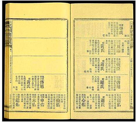 [王]王氏四修通谱_13卷首9卷 (湖南) 王氏四修通谱_A101.pdf