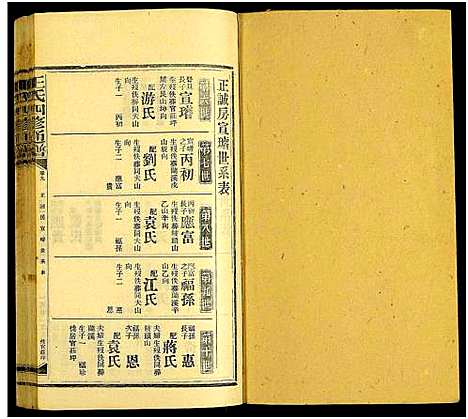 [王]王氏四修通谱_13卷首9卷 (湖南) 王氏四修通谱_A114.pdf