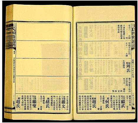 [王]王氏四修通谱_13卷首9卷 (湖南) 王氏四修通谱_A129.pdf