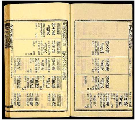 [王]王氏四修通谱_13卷首9卷 (湖南) 王氏四修通谱_A132.pdf