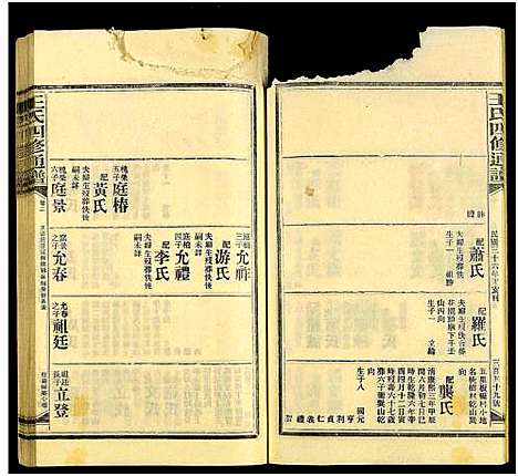 [王]王氏四修通谱_13卷首9卷 (湖南) 王氏四修通谱_A215.pdf