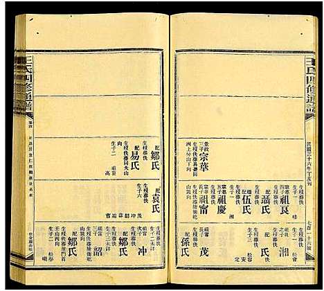 [王]王氏四修通谱_13卷首9卷 (湖南) 王氏四修通谱_A218.pdf