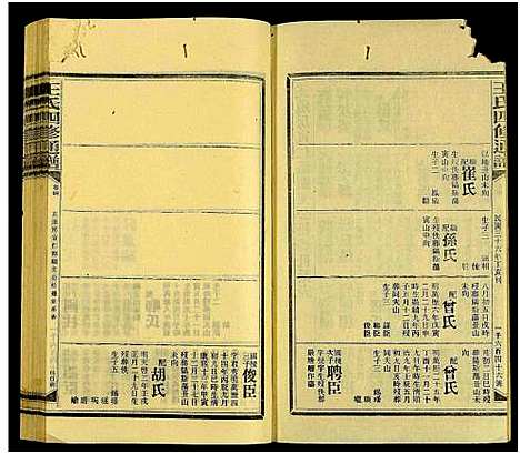 [王]王氏四修通谱_13卷首9卷 (湖南) 王氏四修通谱_A225.pdf