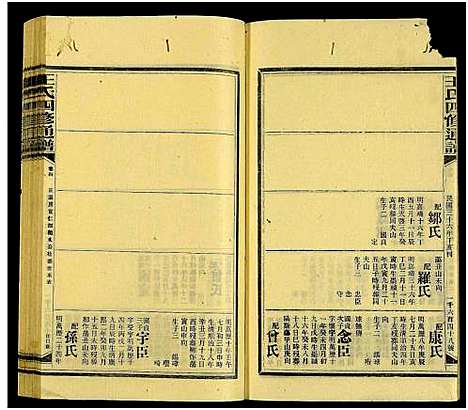 [王]王氏四修通谱_13卷首9卷 (湖南) 王氏四修通谱_A225.pdf