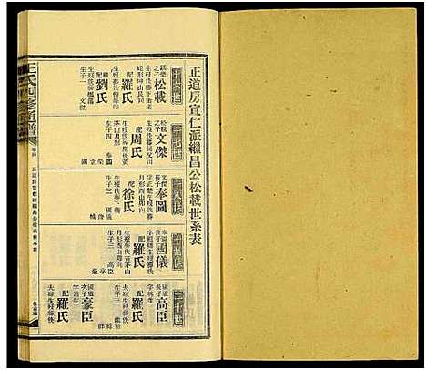 [王]王氏四修通谱_13卷首9卷 (湖南) 王氏四修通谱_A226.pdf