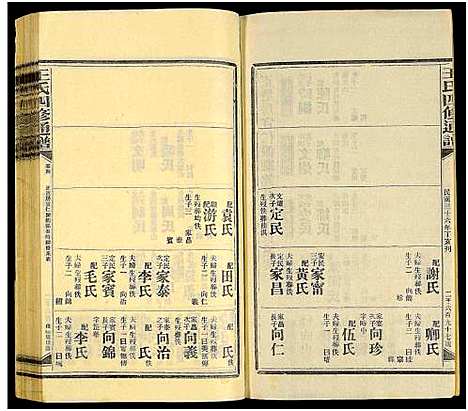 [王]王氏四修通谱_13卷首9卷 (湖南) 王氏四修通谱_A233.pdf