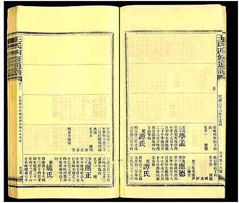 [王]王氏四修通谱_13卷首9卷 (湖南) 王氏四修通谱_A238.pdf