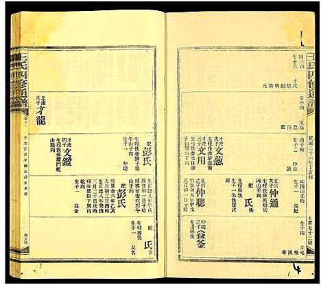 [王]王氏四修通谱_13卷首9卷 (湖南) 王氏四修通谱_A239.pdf