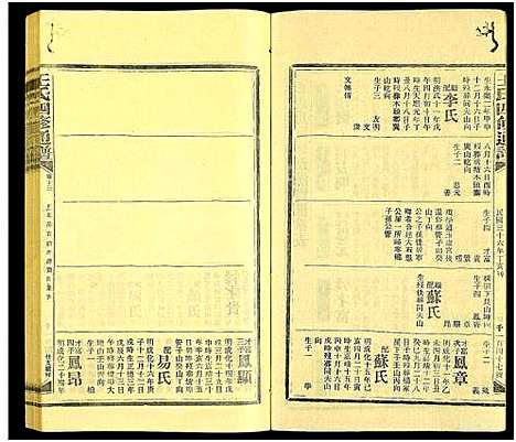 [王]王氏四修通谱_13卷首9卷 (湖南) 王氏四修通谱_A262.pdf