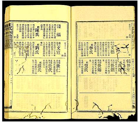 [王]王氏四修通谱_13卷首9卷 (湖南) 王氏四修通谱_A269.pdf