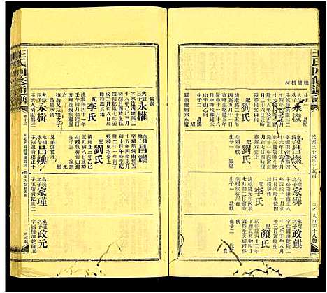 [王]王氏四修通谱_13卷首9卷 (湖南) 王氏四修通谱_A269.pdf