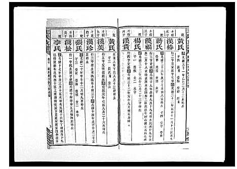 [王]王氏支谱_20卷 (湖南) 王氏支谱_十.pdf