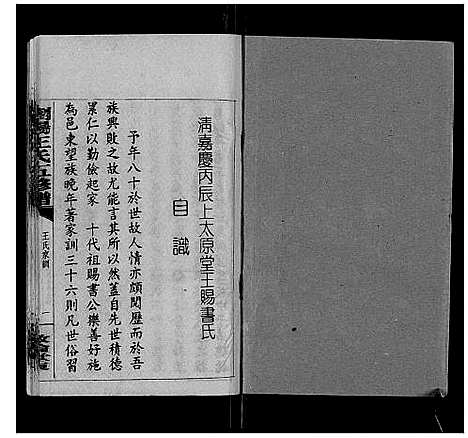 [王]王氏族谱 (湖南) 王氏家谱_一.pdf