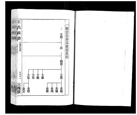 [王]王氏族谱 (湖南) 王氏家谱_二.pdf