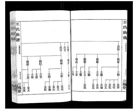 [王]王氏族谱 (湖南) 王氏家谱_二.pdf