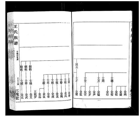 [王]王氏族谱 (湖南) 王氏家谱_二.pdf