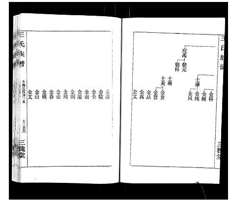 [王]王氏族谱 (湖南) 王氏家谱_五.pdf