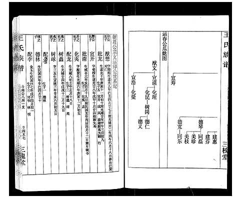 [王]王氏族谱 (湖南) 王氏家谱_八.pdf